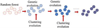 Research on Pathogenic Hippocampal Voxel Detection in Alzheimer's Disease Using Clustering Genetic Random Forest